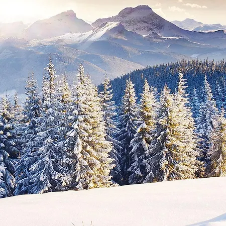Feel At Cozy Near Ski Lift Appartement